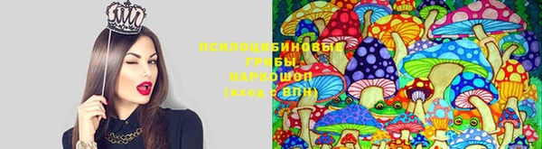 дмт Балабаново