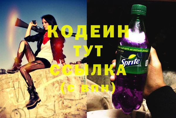 прущий лед Арсеньев