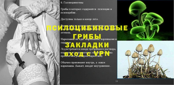 хмурый Аркадак
