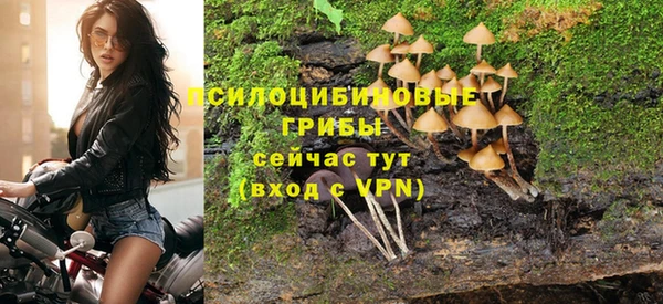 прущий лед Арсеньев