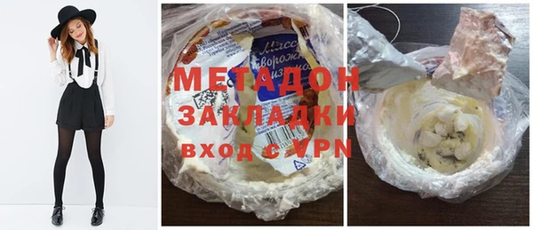 хмурый Аркадак