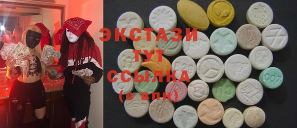 хмурый Аркадак