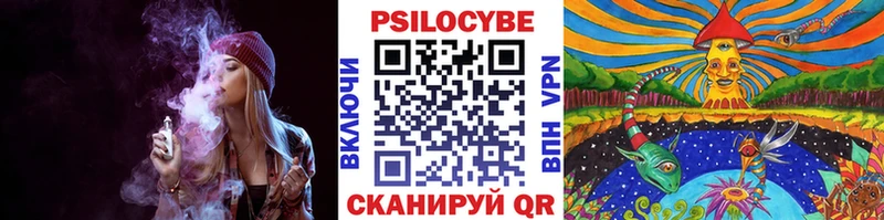 Псилоцибиновые грибы MAGIC MUSHROOMS  Старица 